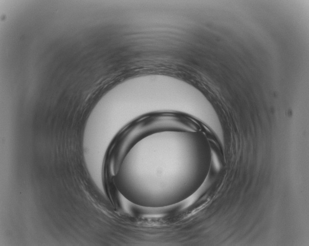 X0000085230412200703161315