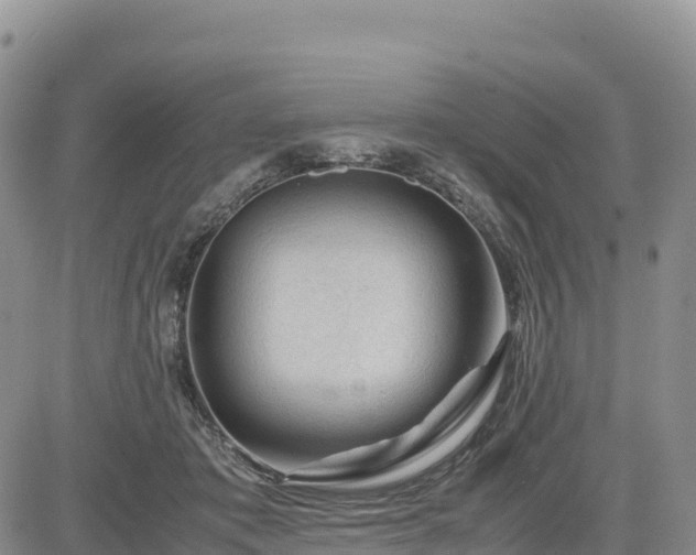 X0000085230413200703161315