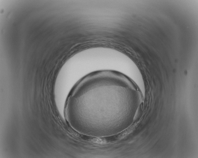 X0000085230421200703161315