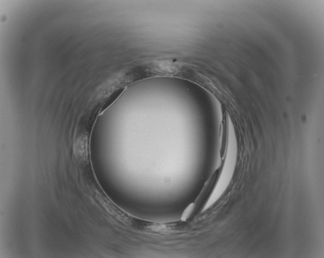 X0000085230425200703161315