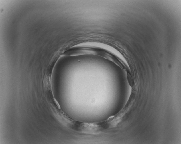 X0000085230429200703161315