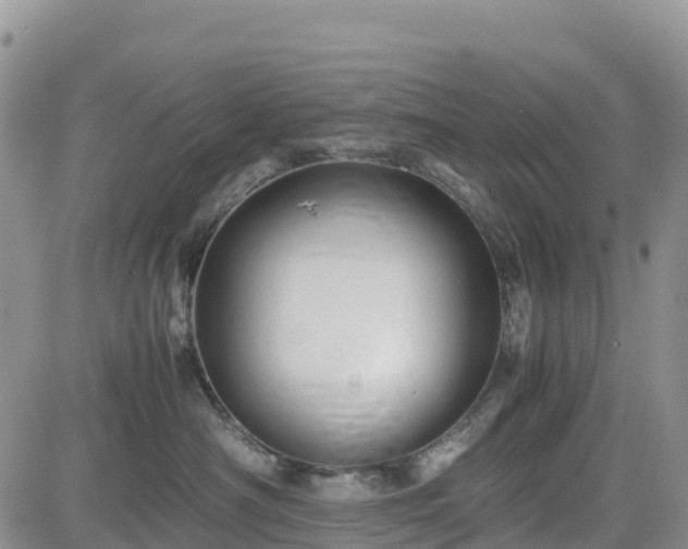 X0000085230430200703161315