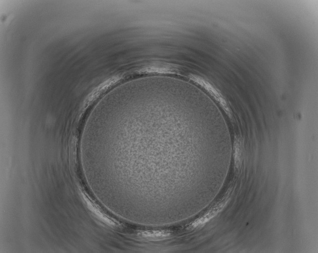X0000085230445200703161314