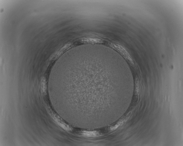 X0000085230457200703161315