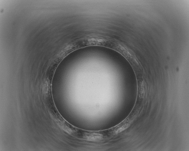 X0000085230463200703161315