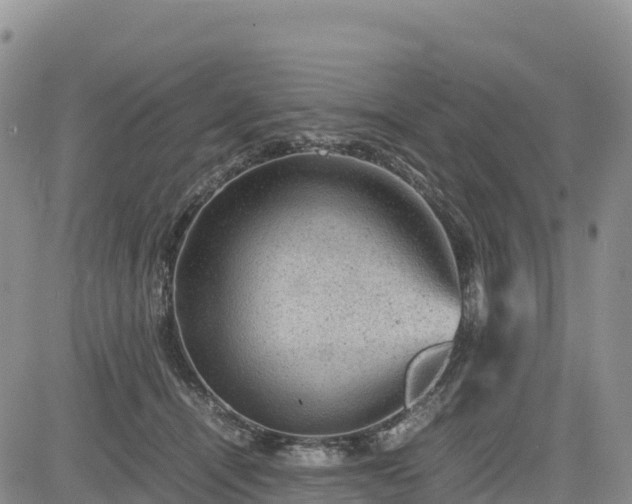 X0000085230464200703161315