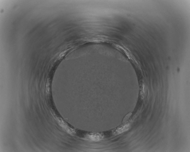 X0000085230466200703161315