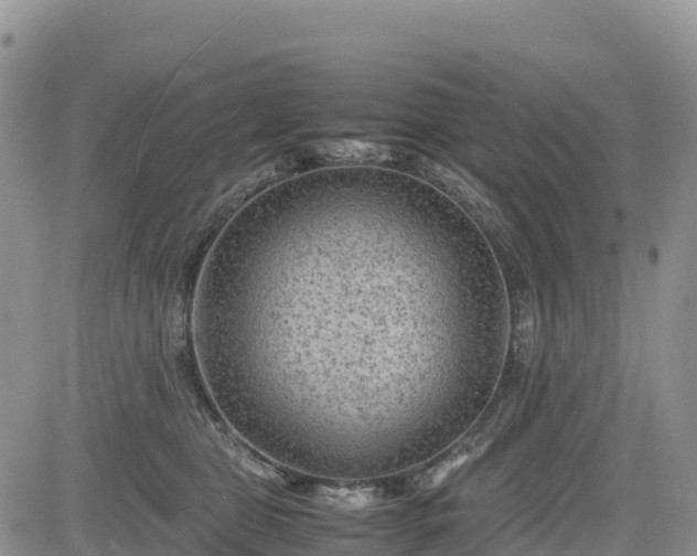 X0000085230469200703161315