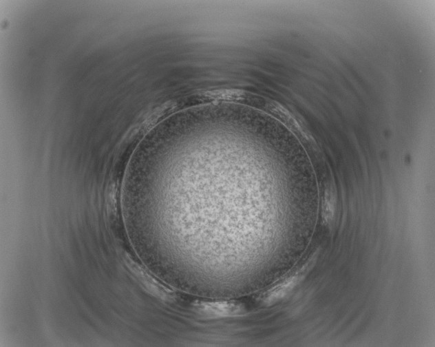 X0000085230473200703161315