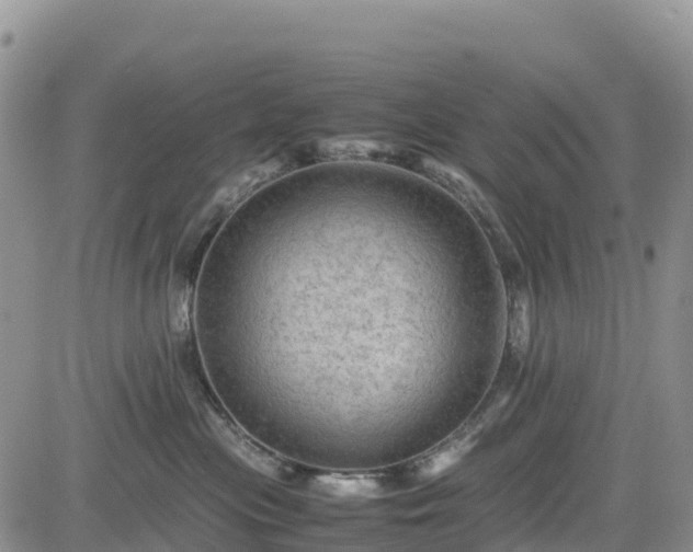 X0000085230477200703161315