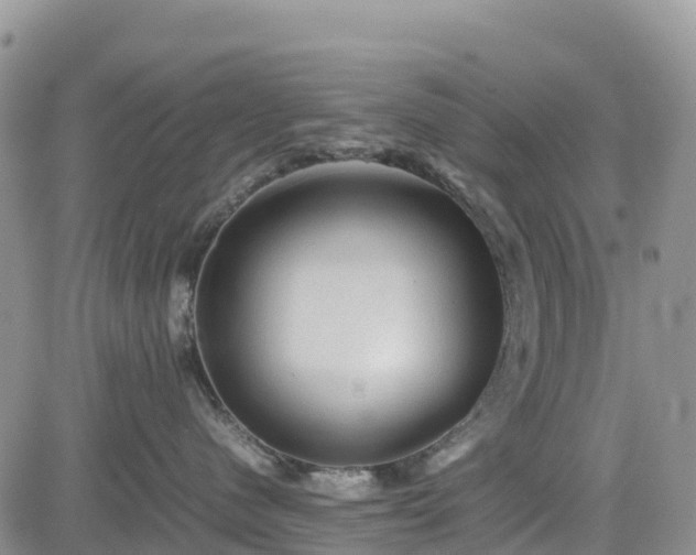 X0000085230480200703161315