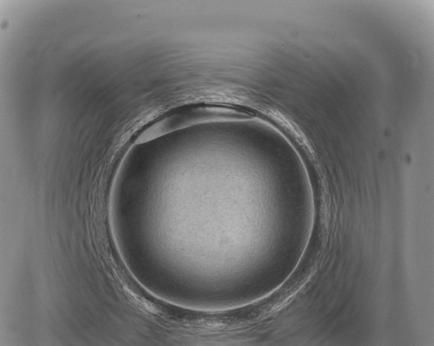 X0000085230481200703161314