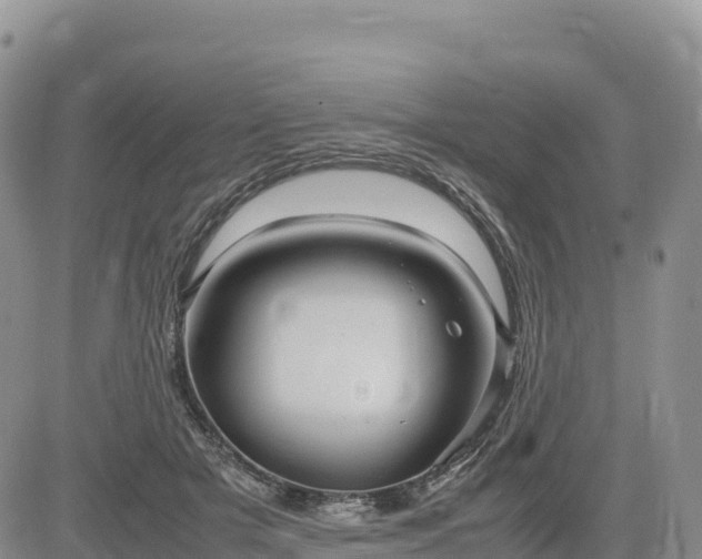 X0000085230505200703161314