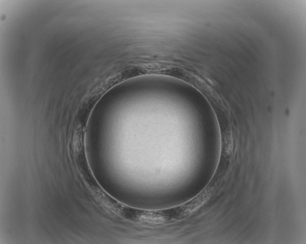 X0000085230515200703161314