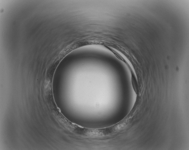 X0000085230521200703161314