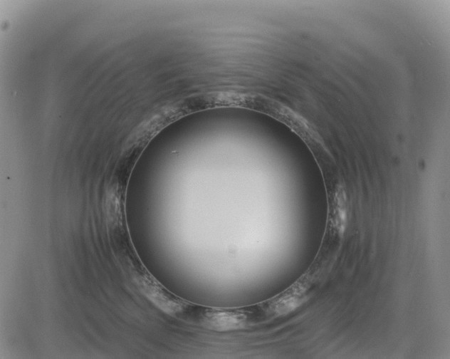 X0000085230522200703161314