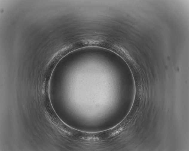 X0000085230543200703161313