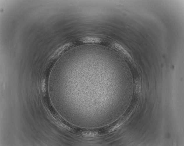 X0000085230549200703161313