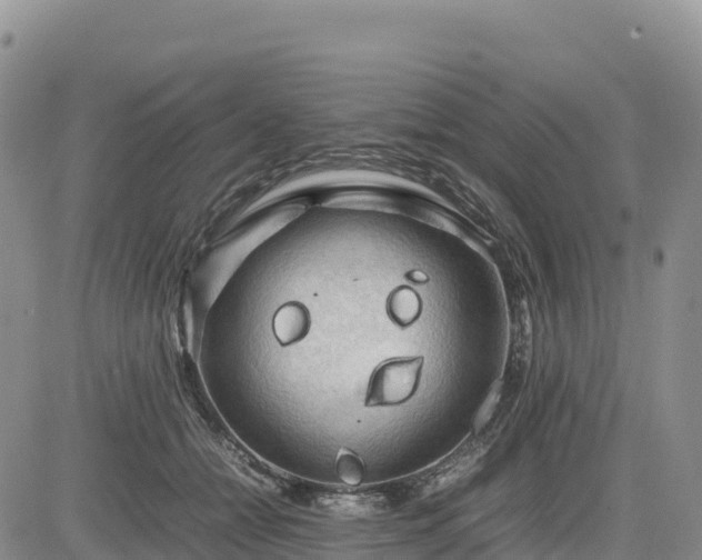 X0000085230558200703161313