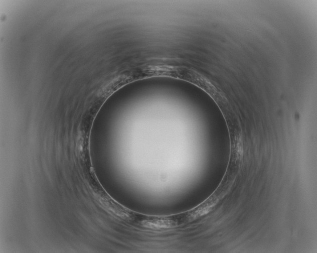 X0000085230567200703161313
