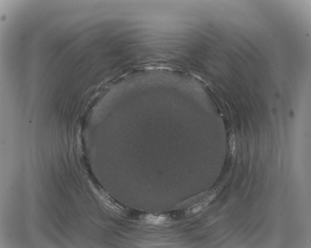 X0000085230570200703161313