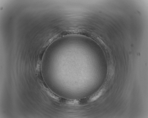 X0000085230576200703161313