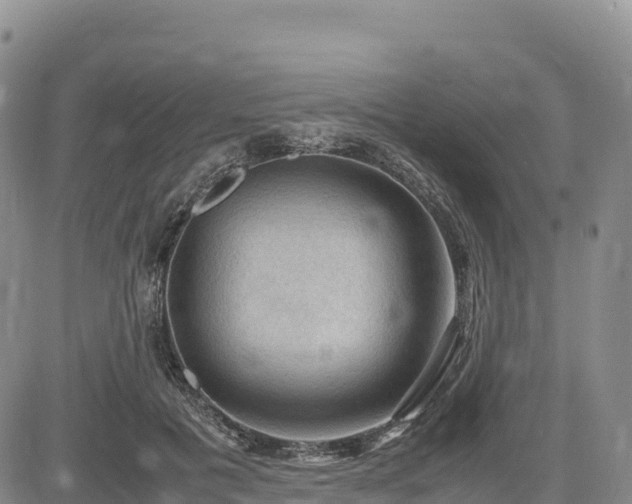 X0000085230601200703161312