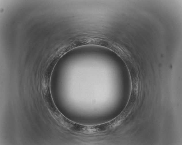 X0000085230607200703161312