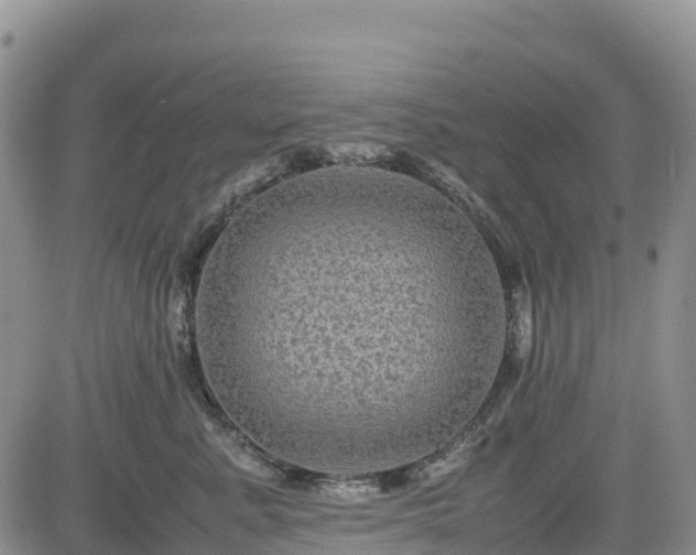 X0000085230619200703161312
