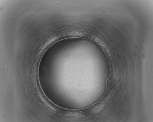X0000085230625200703161311
