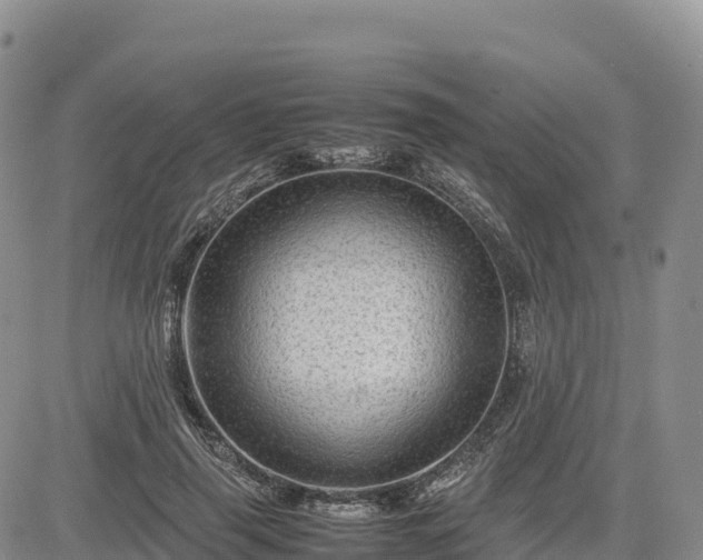 X0000085230645200703161311
