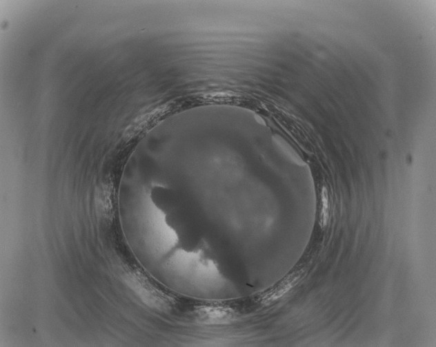 X0000085230654200703161311