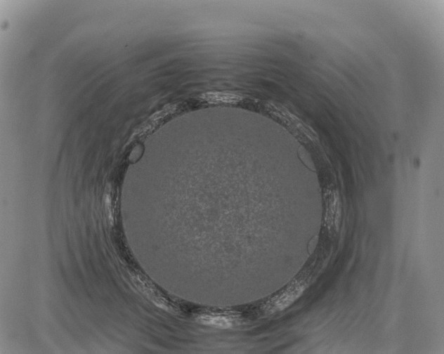 X0000085230655200703161312