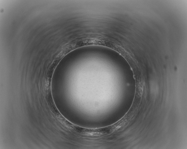 X0000085230657200703161312