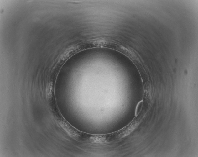X0000085230660200703161312