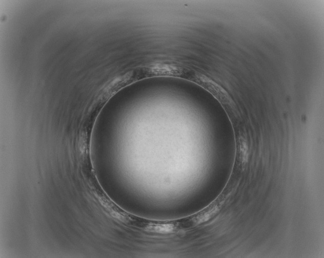 X0000085230665200703161312