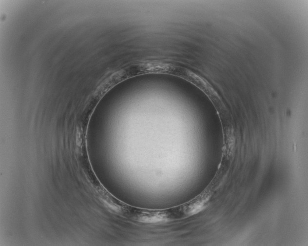 X0000085230667200703161312