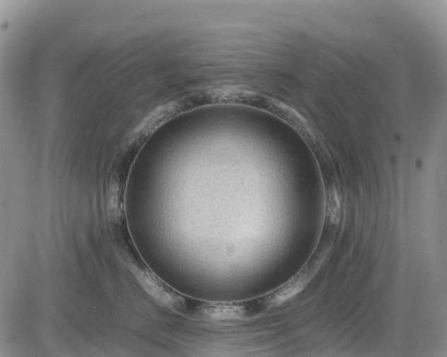 X0000085230670200703161312