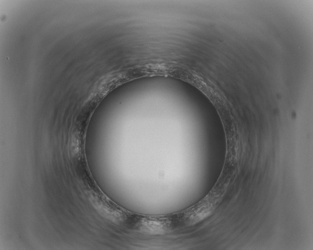 X0000085230706200703161310
