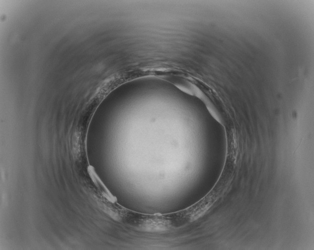 X0000085230708200703161310
