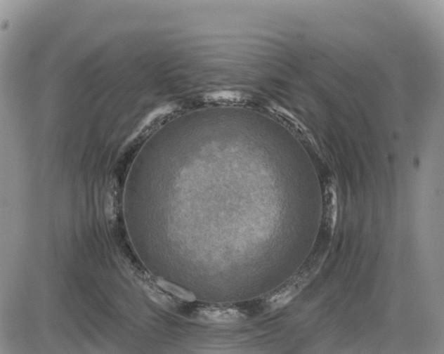 X0000085230712200703161310