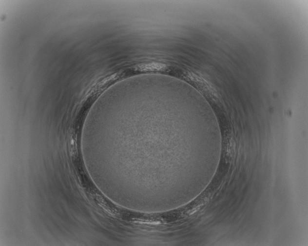 X0000085230743200703161310
