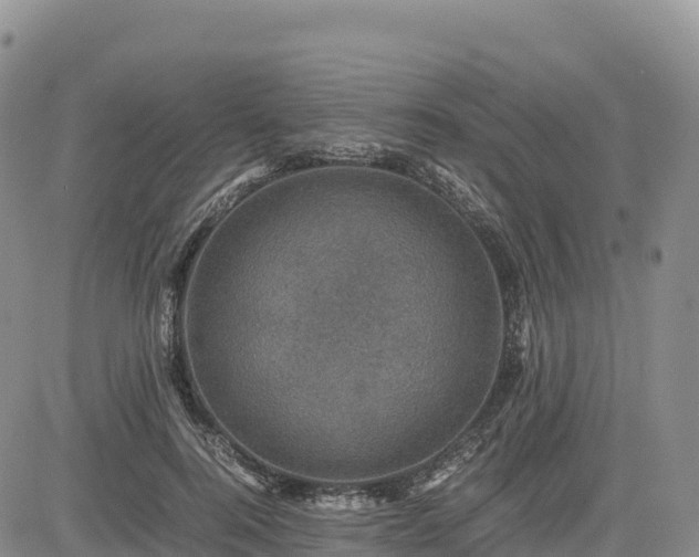 X0000085230744200703161310