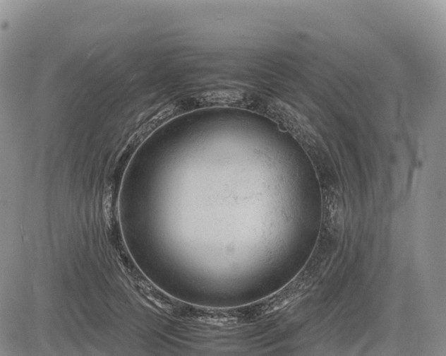 X0000085230745200703161310