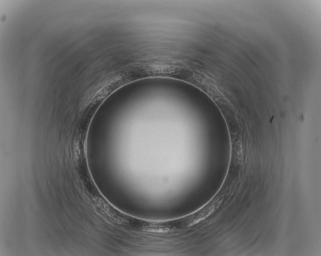 X0000085230746200703161310