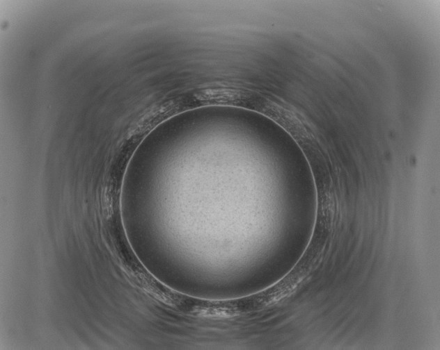 X0000085230751200703161310