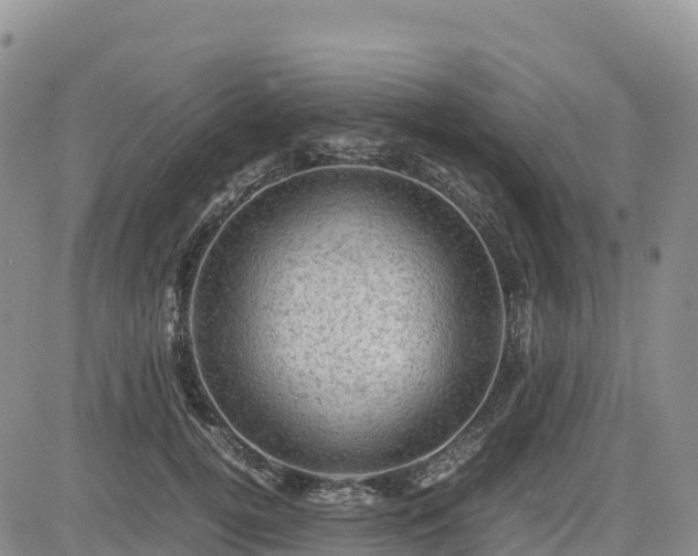 X0000085230752200703161310
