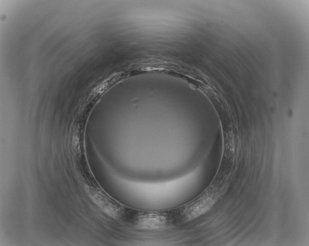 X0000085230754200703161310