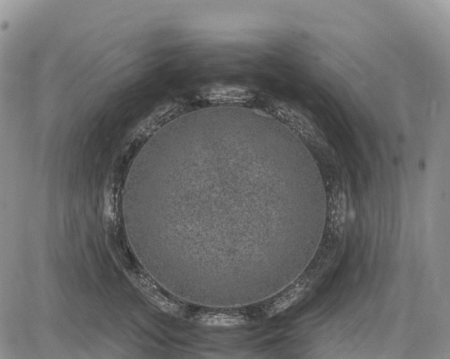 X0000085230755200703161310