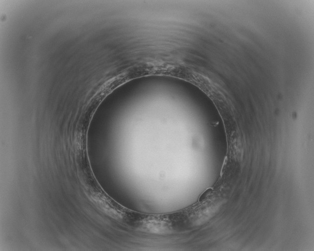 X0000085230756200703161310